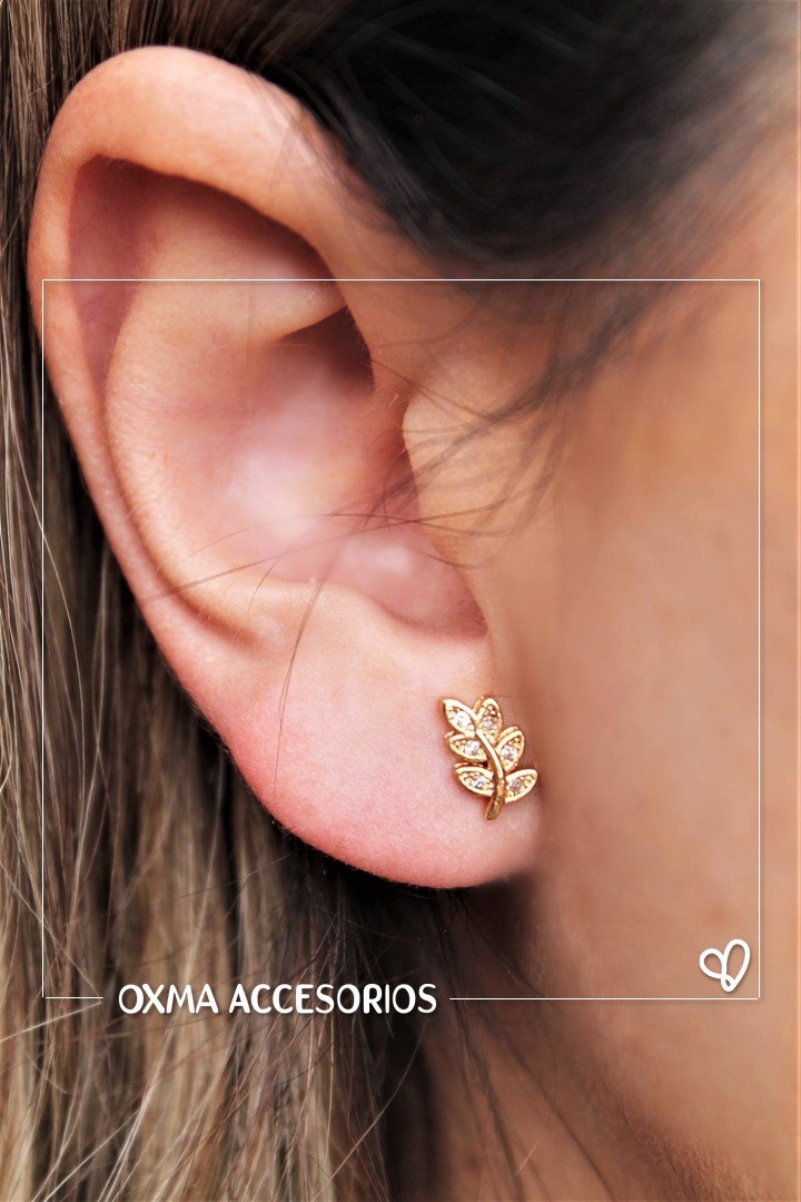 topos hojas microcircones