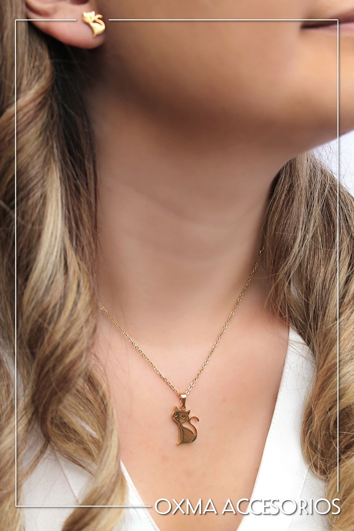 conjunto gato